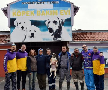 Kayseri Barınak Yardımı